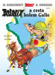 Asterix V: Asterix a cesta kolem Galie