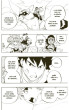 Radiant 11
