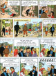 Tintinova dobrodružství 21: Šperky Madam Castafiore