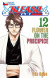 Bleach 12: Flower On The Precipice