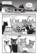 Kočičí válečníci - Havranova cesta 1: Zničený mír (2. vydání)