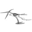 Pteranodon (kostra)