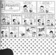 Můj ty smutku!: Vybrané stripy Peanuts z let 1960 - 2000