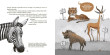 Pupíci - Poťouchlý gamebook o lechtání veverek