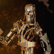 Terminátor – endoskelet T-800