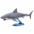 Žralok bílý