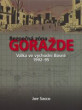 Bezpečná zóna Goražde