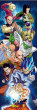 Plakát na dveře Dragon Ball