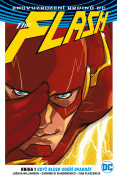Flash 1: Když blesk udeří dvakrát (brož.)