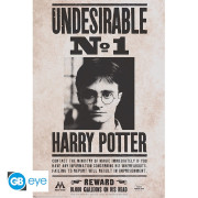 Plakát Harry Potter - Nežádoucí