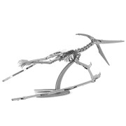 Pteranodon (kostra)