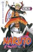 Naruto 33: Přísně tajná mise