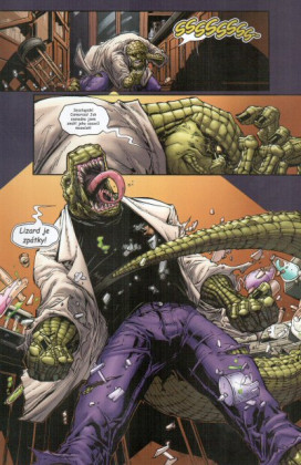Spider-Man: Knížka na rok 2009