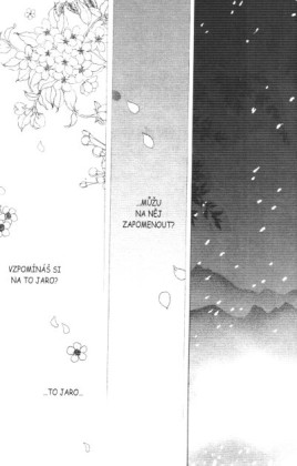 Platina 02