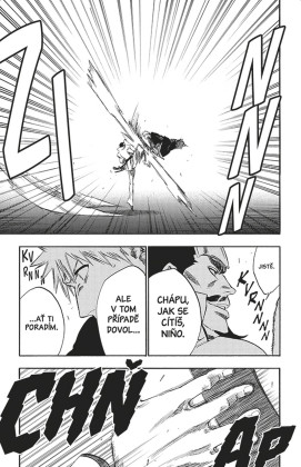 Bleach 28: Barons Lecture Full-Course