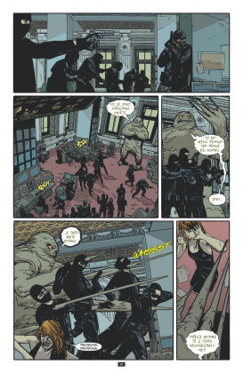 Batman: Temný rytíř 4 - Proměny