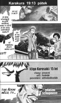 Bleach 01: The Death and the Strawberry