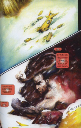 Wolverine a Hulk