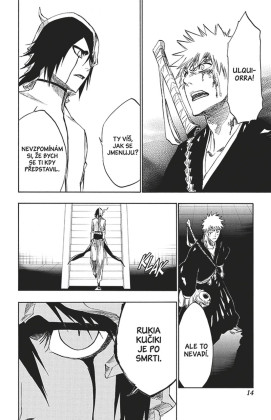 Bleach 31: Don't Kill My Volupture