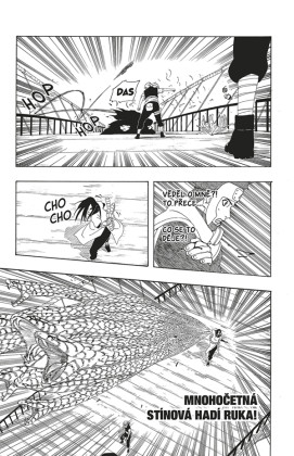 Naruto 33: Přísně tajná mise
