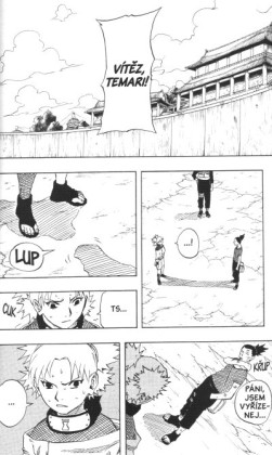 Naruto 13: Rozuzlení