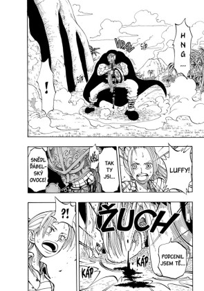 One Piece 14: Instinkty
