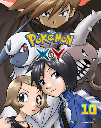 Pokémon X•Y 10