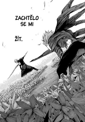 Tokijský ghúl: re 8