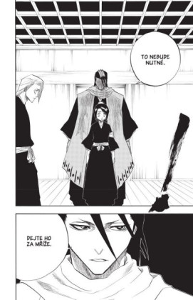 Bleach 12: Flower On The Precipice