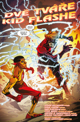 Flash 2: Rychlost temnoty (brož.)