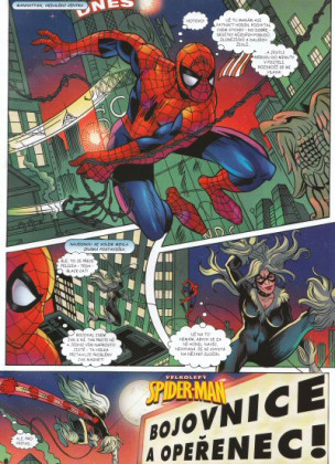 Velkolepý Spider-Man 07/2008: Chyťte zloděje!