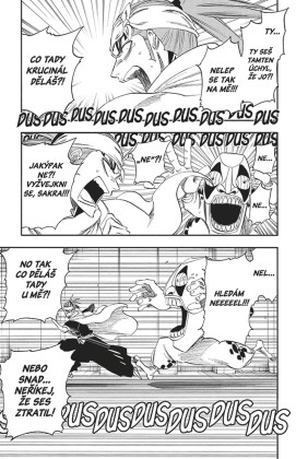 Bleach 29: The Slashing Opera