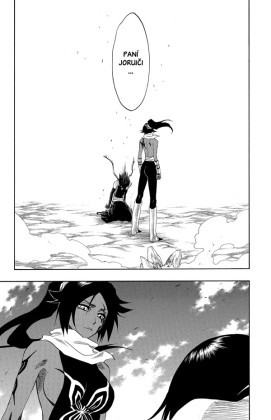 Bleach 19: The Black Moon Rising