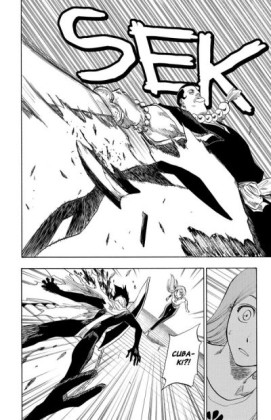 Bleach 11: A Star And A Stray Dog