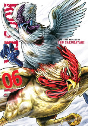 Rooster Fighter 6