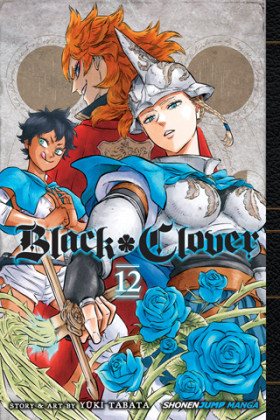 Black Clover 12