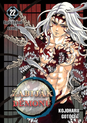 Zabiják démonů 22: Spřízněné osudy