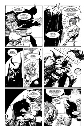 DC světy Neila Gaimana (Legendy DC)