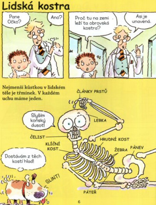 Davidův dům: Lidské tělo