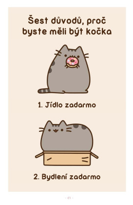 Pusheen - Já, košišta