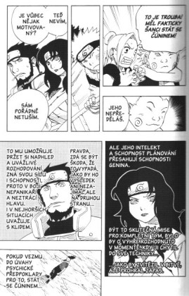 Naruto 13: Rozuzlení