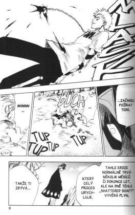 Bleach 08: The Blade and Me