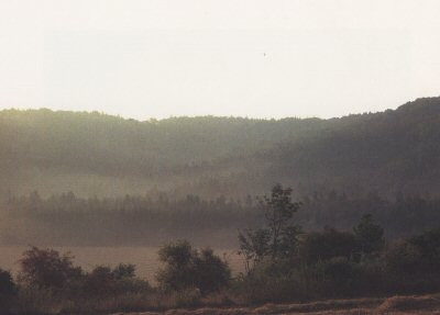Skutečný příběh Cílka a Lídy