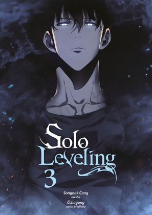 Solo Leveling 3