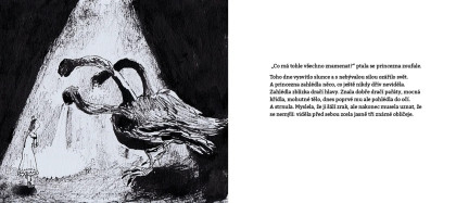 Princezna a slunce svit