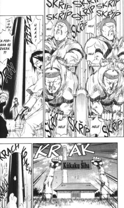 Bleach 10: Tattoo on the Sky