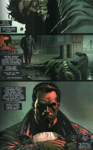 Punisher MAX 8: Vdovy