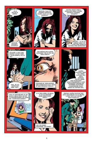 DC světy Neila Gaimana (Legendy DC)