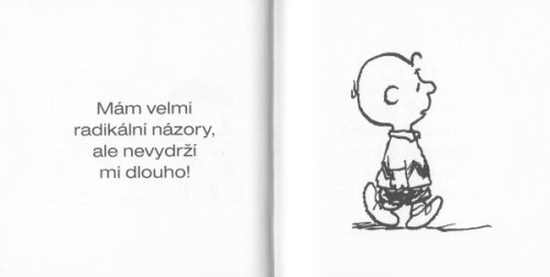 Peanuts ve škole