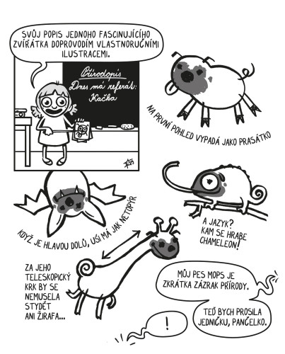 Kačka & Mops